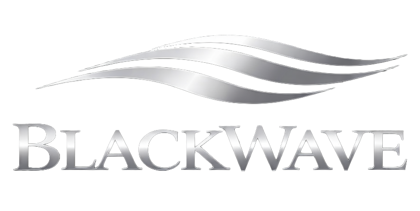 BlackWave Miami Transportation